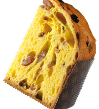Load image into Gallery viewer, Attilio Servi - Panettone with Raisins, Chestnuts with Berta Grappa Cream - 1000g