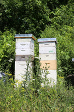 Load image into Gallery viewer, Fifth Town - Local Prince Edward County Honey - Various Styles